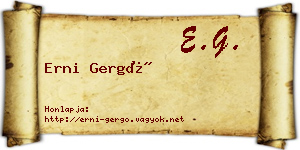 Erni Gergő névjegykártya
